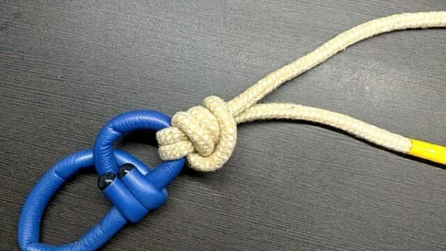 パロマーノットの結び方と、強度テストで判明した意外な事実